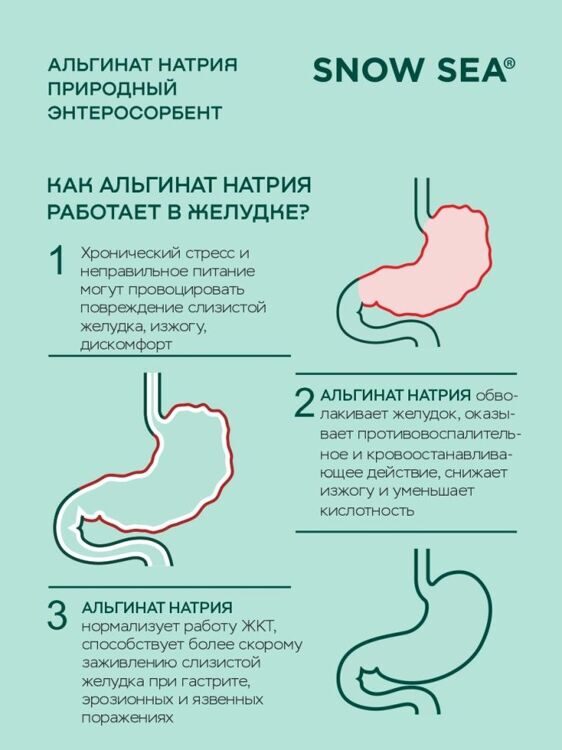 Альгинат натрия  для ЖКТ и очищения организма БАД, 60 капс.