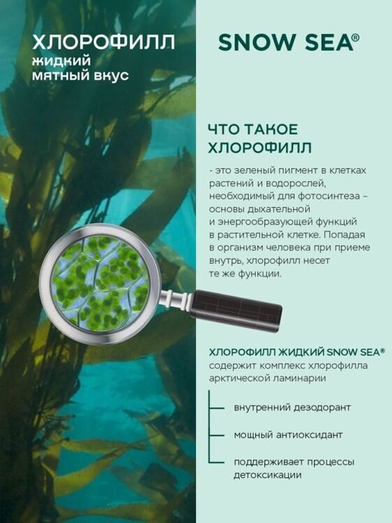 Хлорофилл жидкий со вкусом малины, 500 мл