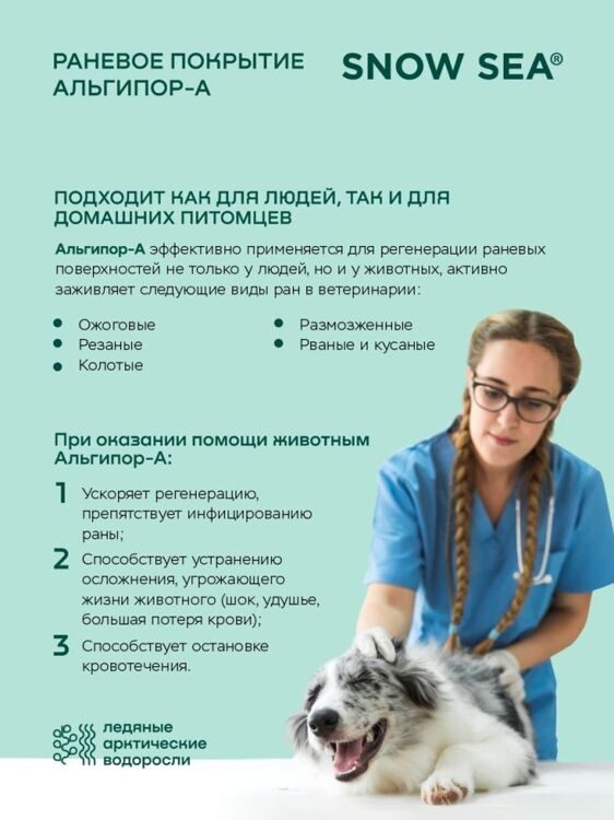 Альгипор-А покрытие (повязка) на раны и ожоги 60х100х10 мм